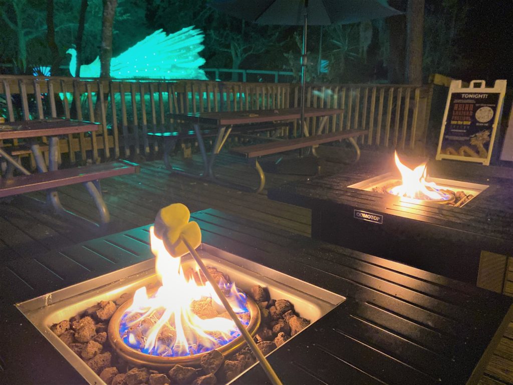 S'Mores Station at Asian Lantern Festival at Central Florida Zoo 2021 - this photo was taken at night, two square shaped firepits are in the foreground as is a long wooden rod holding two marshmallows being roasted over the fire. A green peacock asian lantern is illuminated in the background