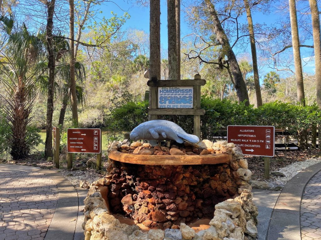 Manatees In Florida Year Round Homosassa Springs Wildlife Park