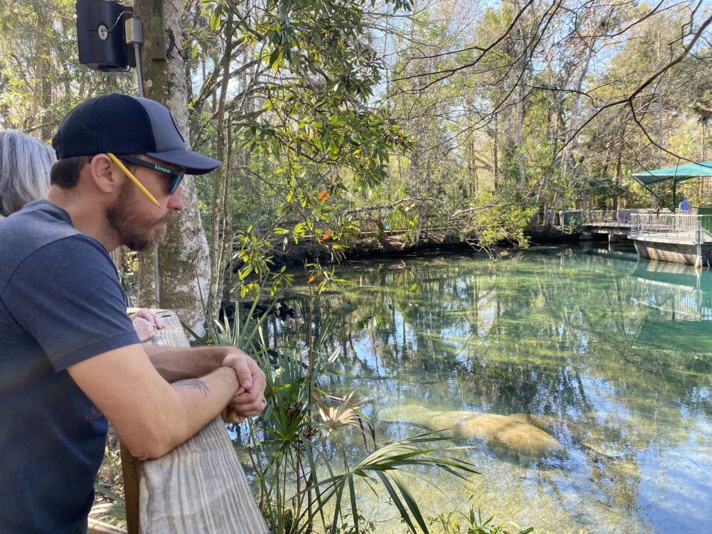 See manatees in Florida from a boardwalk at Homosassa Springs Wildlife Park