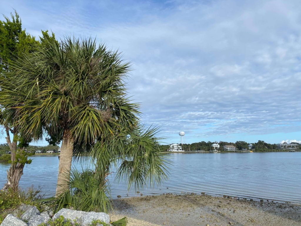 Looking back at the downtown area of Cedar Key from the airport side