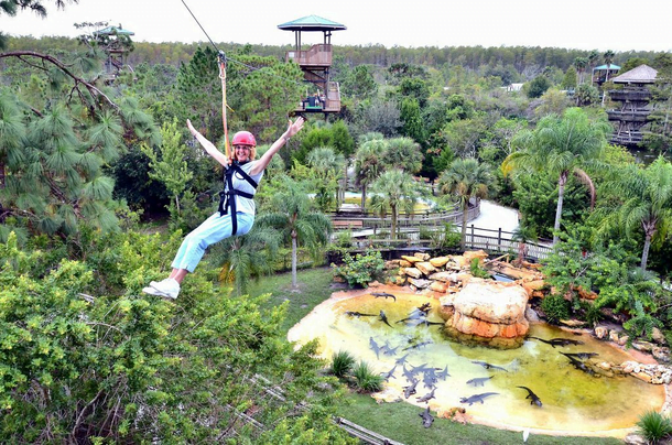 Gatorland Orlando zip line Memorial Day