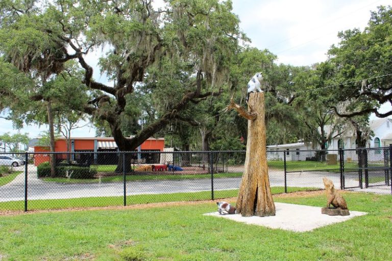 Orlando Area Dog Parks for a Fur Filled Day