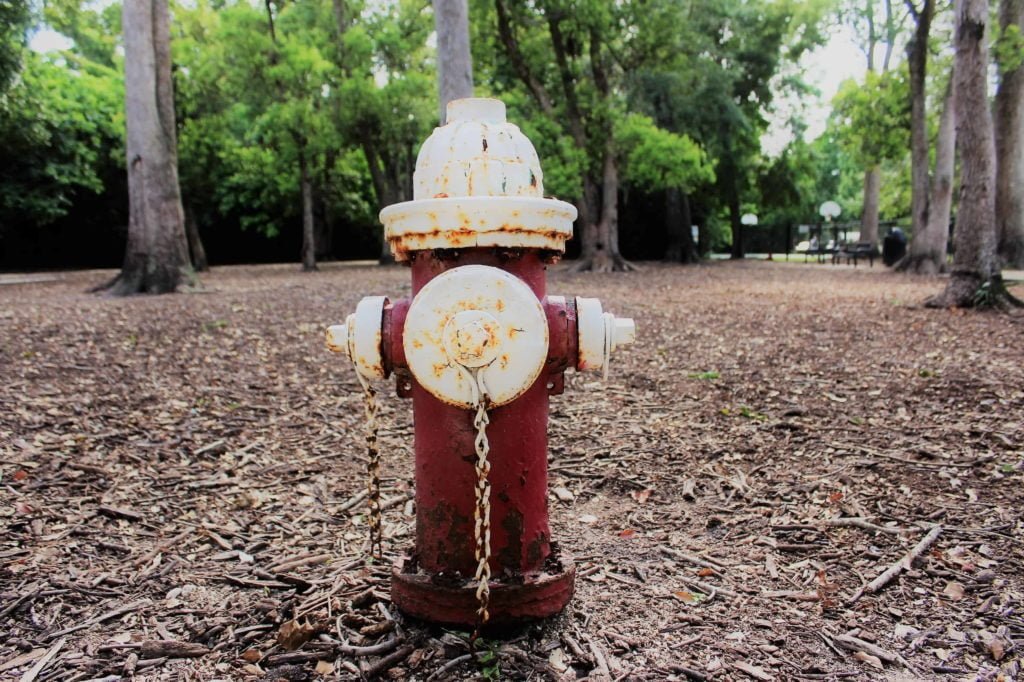 Pawmosa Park Casselberry Fire Hydrant and Trees