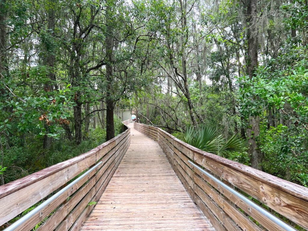 Lake Louisa State Park Cabins - Boardwalk Walking Trail