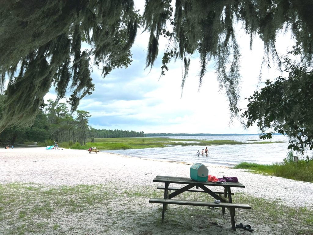 Lake Louisa State Park - Lakeside Beach Area - Beth Bell