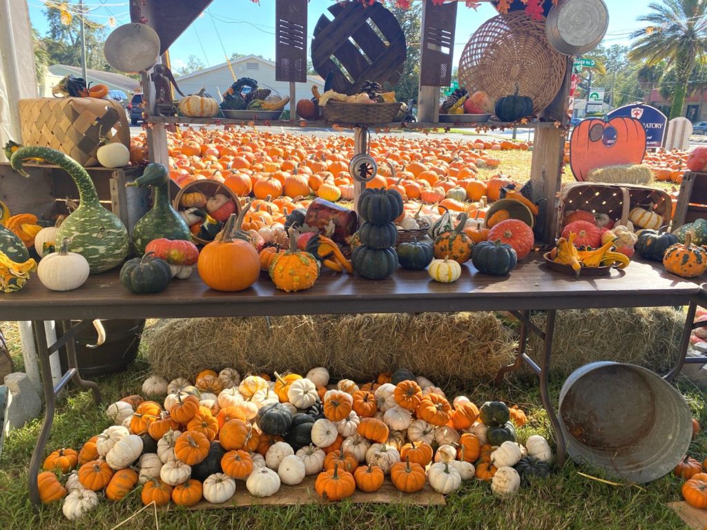 pumpkins of white, orange, and dark green at Casselberry Community Church Pumpkin Patch 