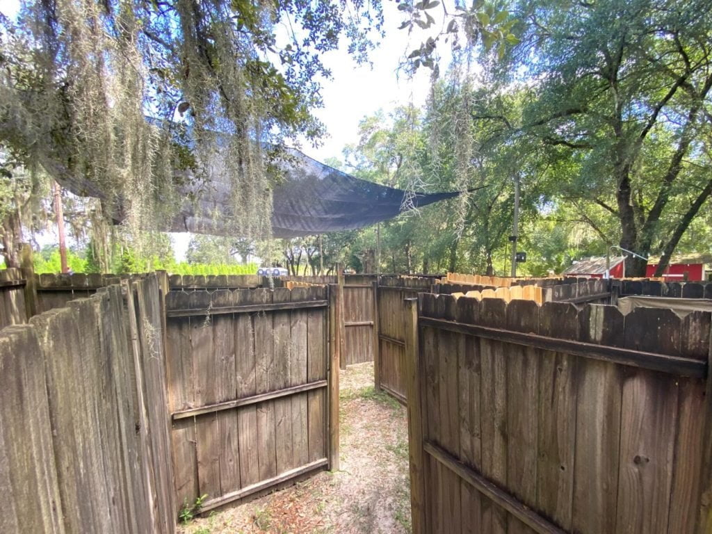 Fall Maze at Santa's Farm Pumpkin Patch Eustis near Orlando - Dani Meyering