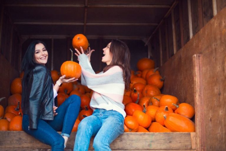 10 Adorable Instagram-Worthy Pumpkin Patches in Orlando