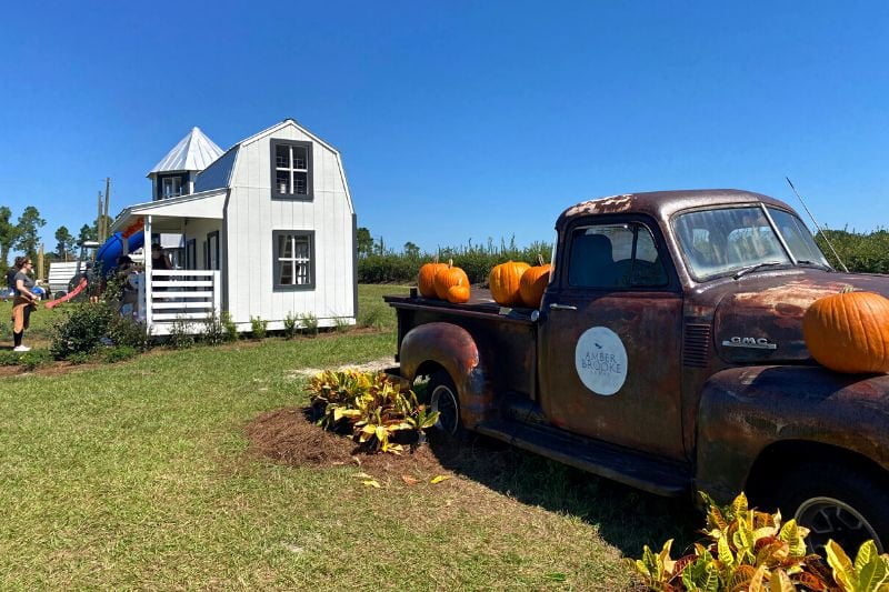 antique pick-up truck at Amber Brooke Farms Fall Festival near Orlando