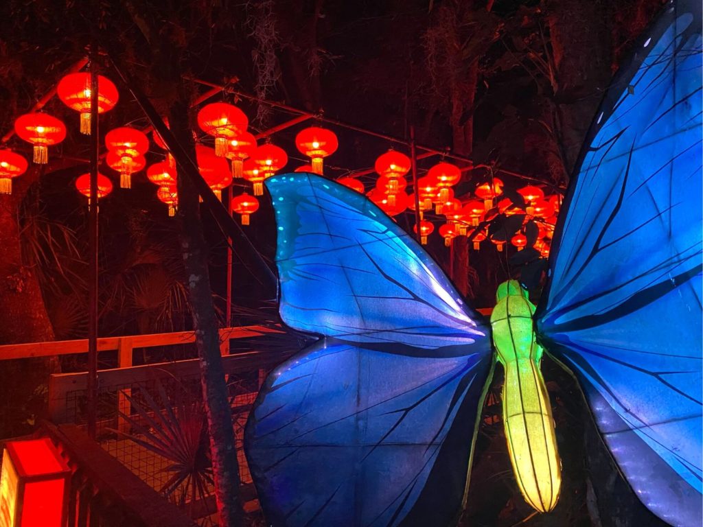 Butterfly at 2022 Asian Lantern Festival at Central Florida Zoo