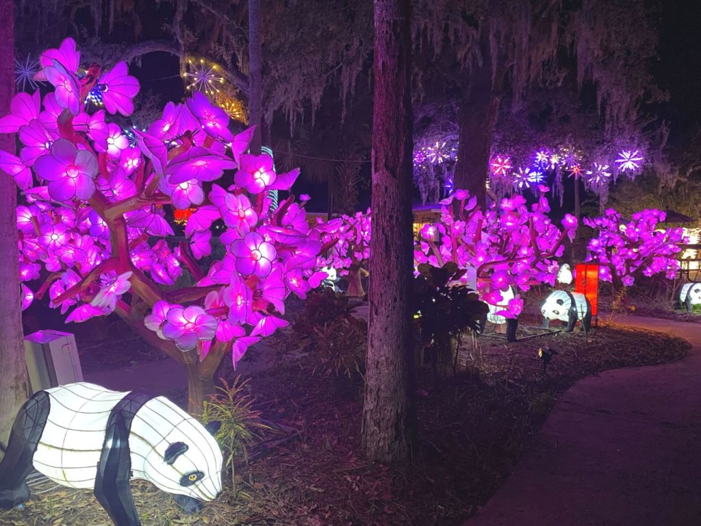 Cherry Blossom Walkway at 2022 Asian Lantern Festival at Central Florida Zoo 