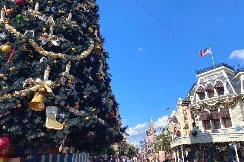 Christmas Tree at Magic Kingdom - Dani Meyering