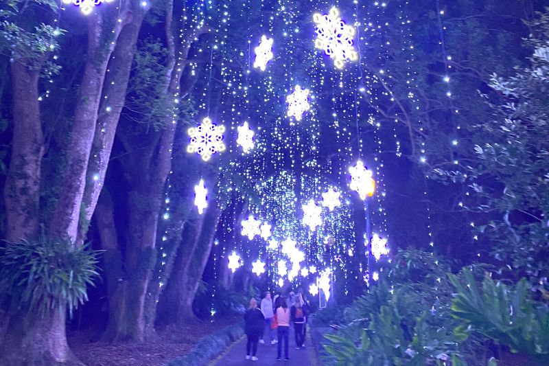 The Holidays in Orlando Christmas Events, Lights, and More!