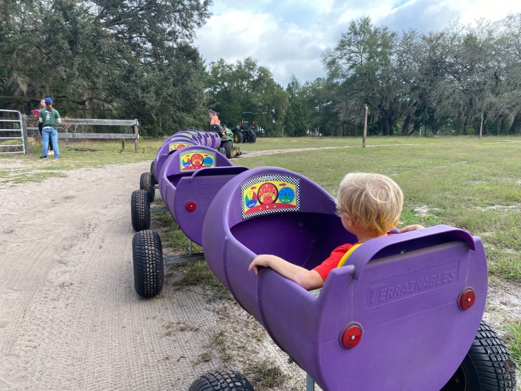 Tractor Train Santa's Christmas Tree Farm Eustis Florida 