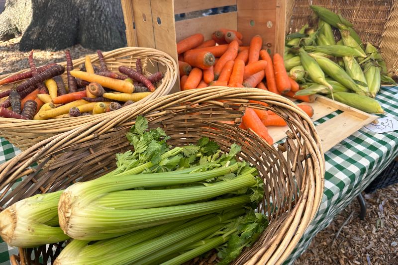 Fresh Produce at Orlando Farmers' Market Lake Eola