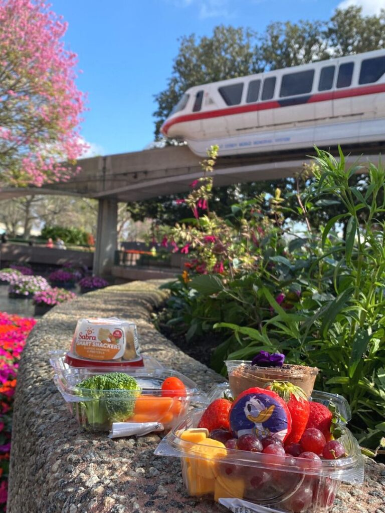 Healthy Snacks at EPCOT from The Land Cart 