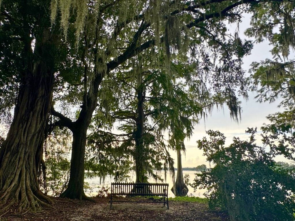 Kraft Azalea Garden bench along the lake 