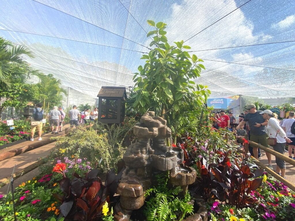 Pathway inside Butterfly Landing Presented by AdventHealth at EPCOT 