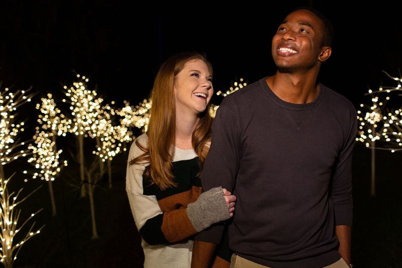 Dazzling Nights at Leu Gardens - Image Credit Jesse Walsh