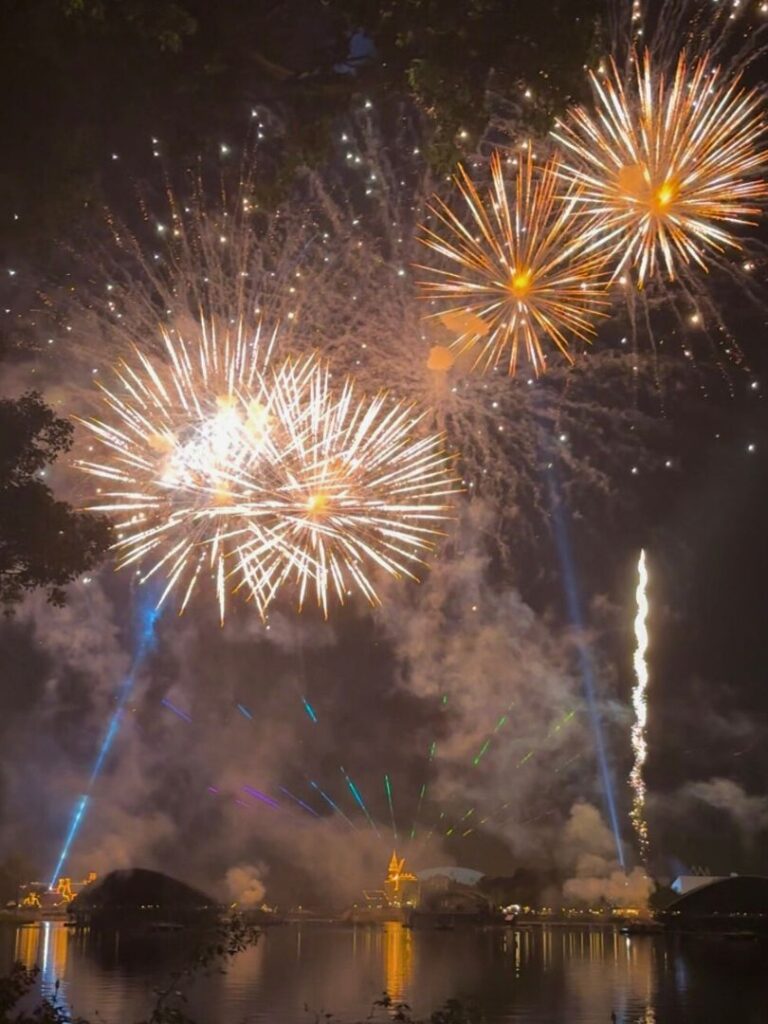 EPCOT Forever Fireworks - Jodi Caballero