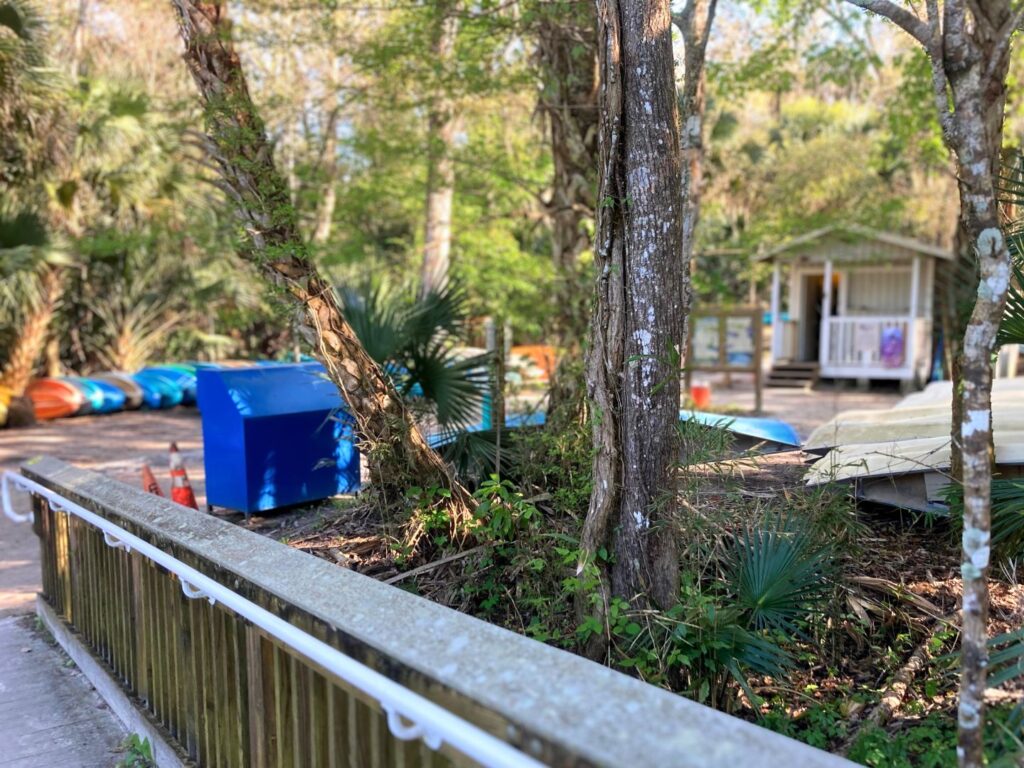 Wekiwa Springs State Park Canoe Launch