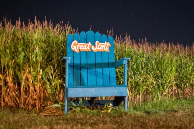 10 Date Worthy Corn Mazes In Orlando 2025