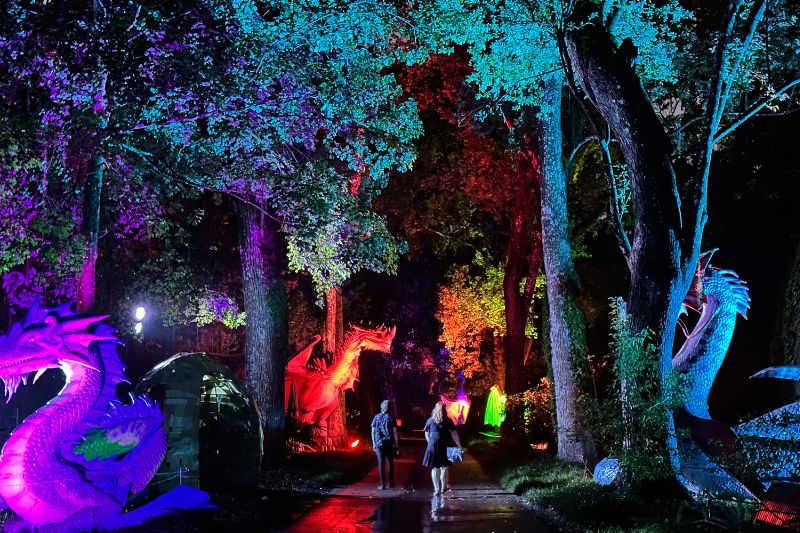 Happy Frights Haunting Nights Leu Gardens Dragons - image by Dani Meyering