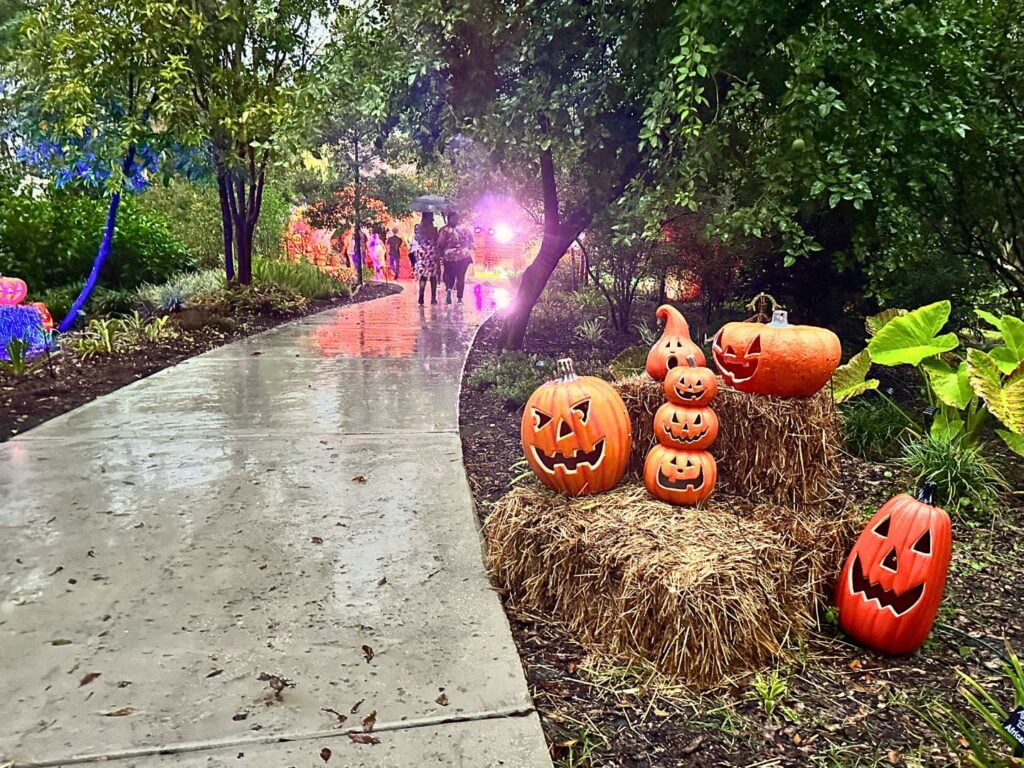 Happy Frights Haunting Nights Leu Gardens Jack O Lanterns near sidewalk