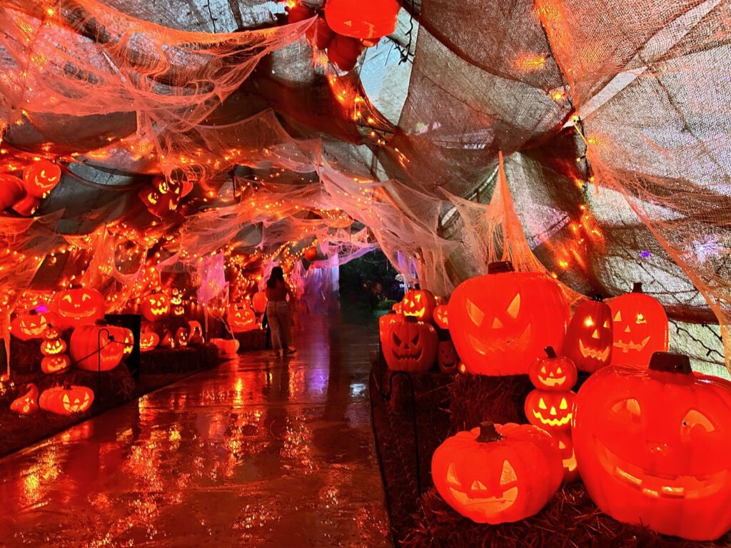 Jack O Lantern Walkway at Happy Frights Leu Gardens - image by Dani Meyering