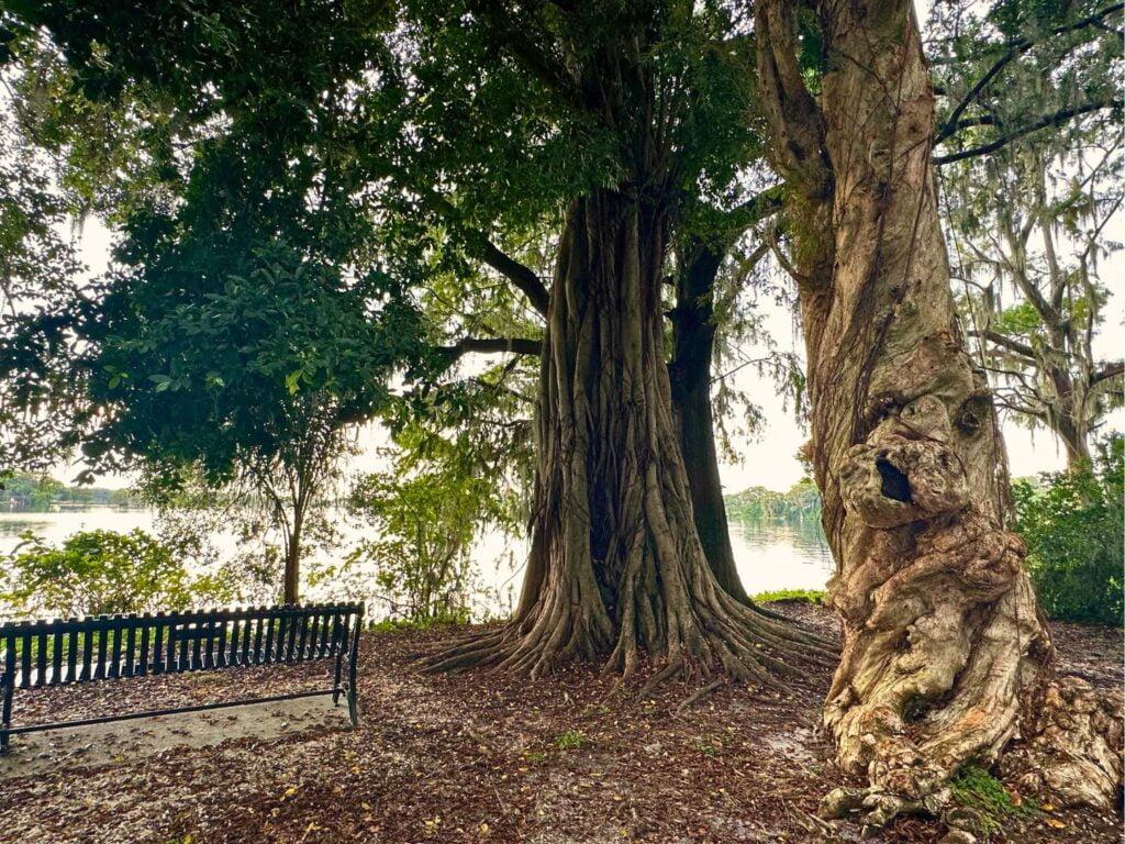 Kraft Azalea Garden trees and lake 