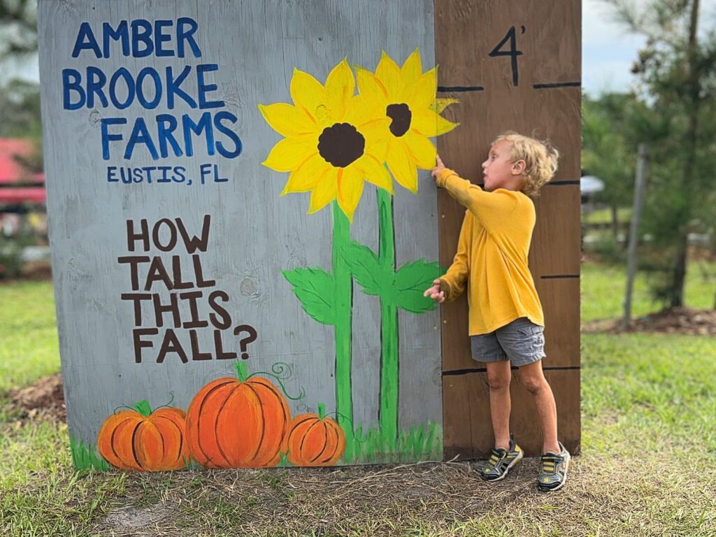 Young Boy checks his height at sign for Amber Brooke Farms Eustis Near Orlando U-Pick Farm Fall Festival 