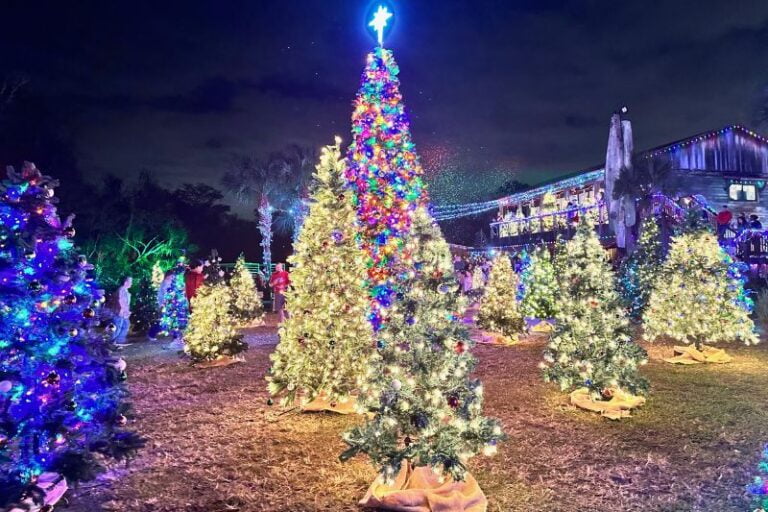 Celebrate the Holidays in Orlando: Christmas Events, Lights, and More!