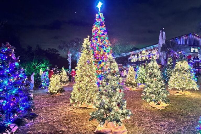 Celebrate Christmas in Orlando: Holiday Events, Lights, and More!