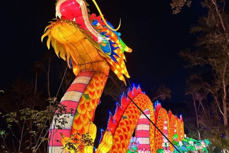 Dragon Asian Lantern Festival 2024 Central Florida Zoo - image by Dani Meyering