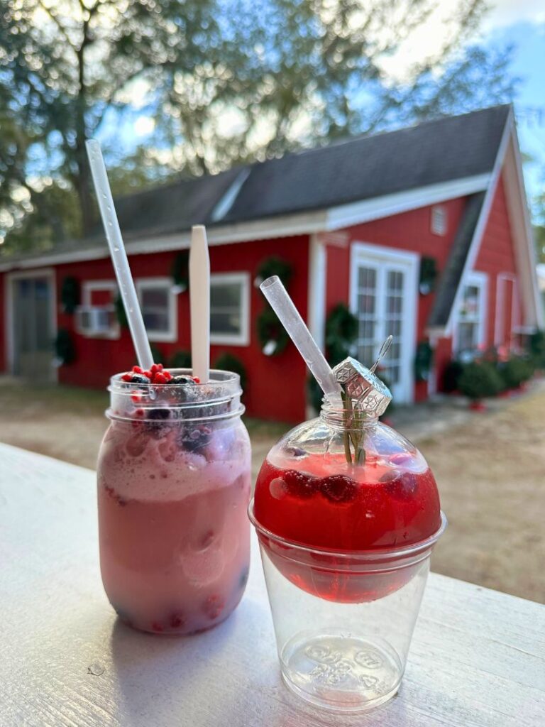 Festive Drinks at Santa's Farm near Orlando