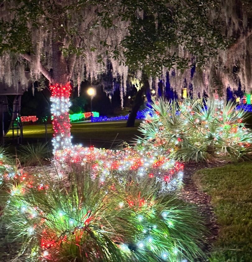 Lake Concord Casselberry Christmas Lights lit up at night