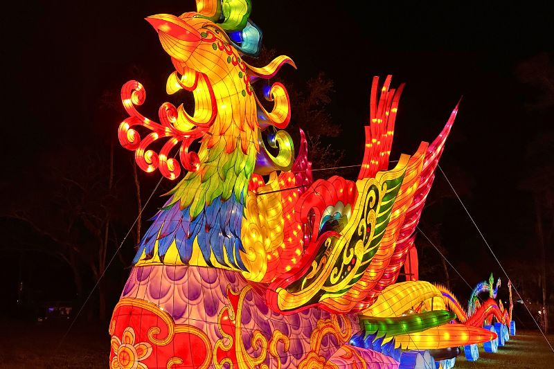Phoenix Lantern at 2023 Asian Lantern Festival Central Florida Zoo