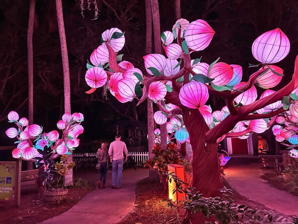 a couple strolls among the Tree Lanterns at 2023 Asian Lantern Festival Central Florida Zoo 