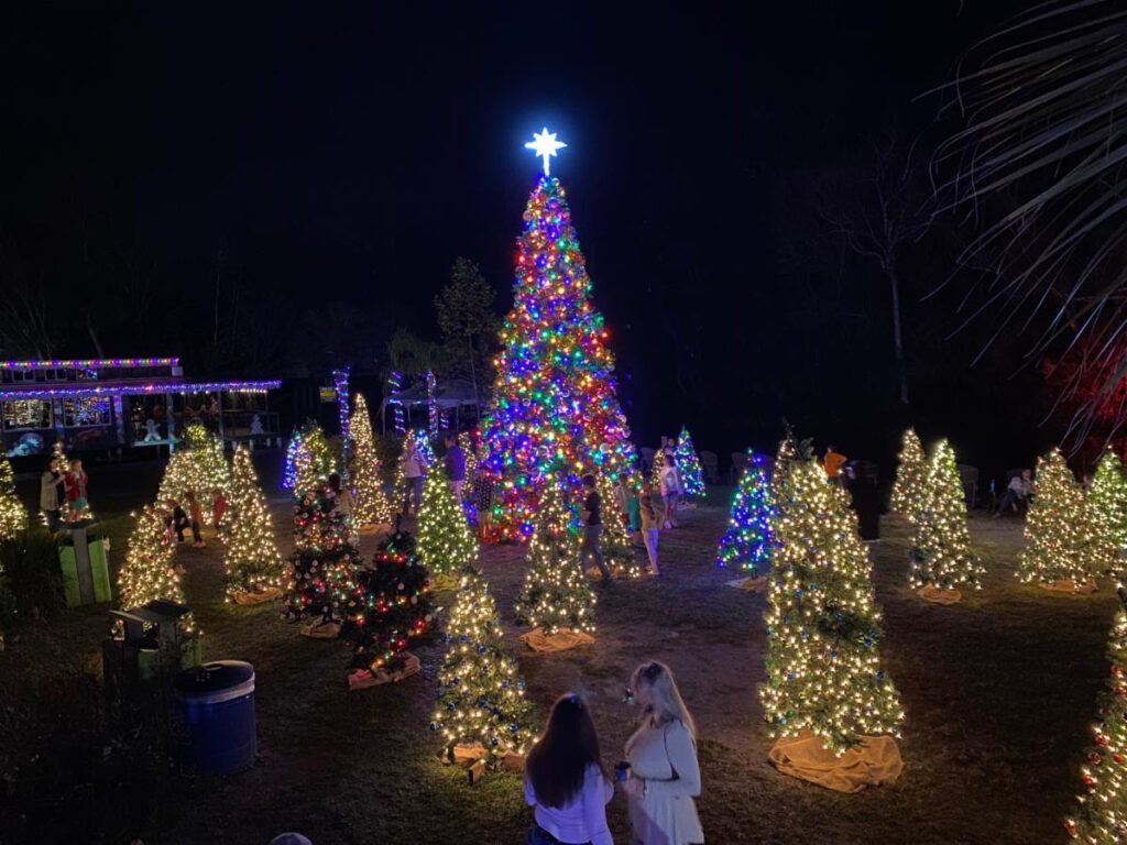 Wekiva Island Winter Wonderland Christmas Trees lit at night