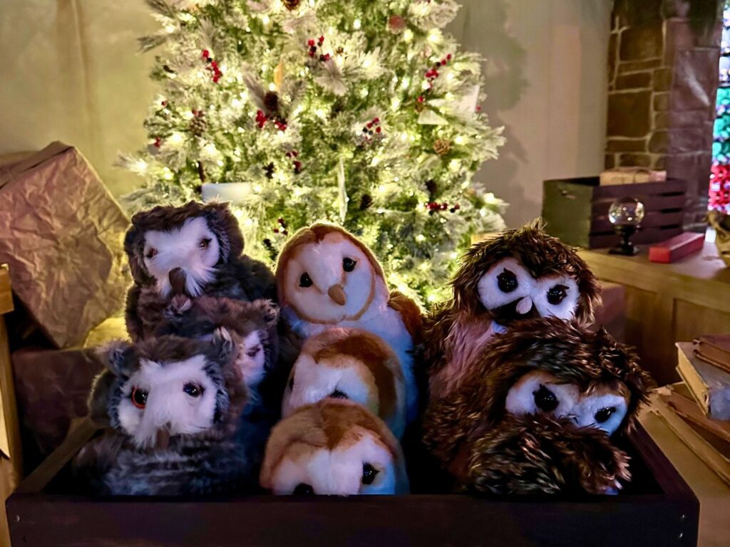 Christmas at Hogwarts Owl Merchandise - image by Terri Peters
