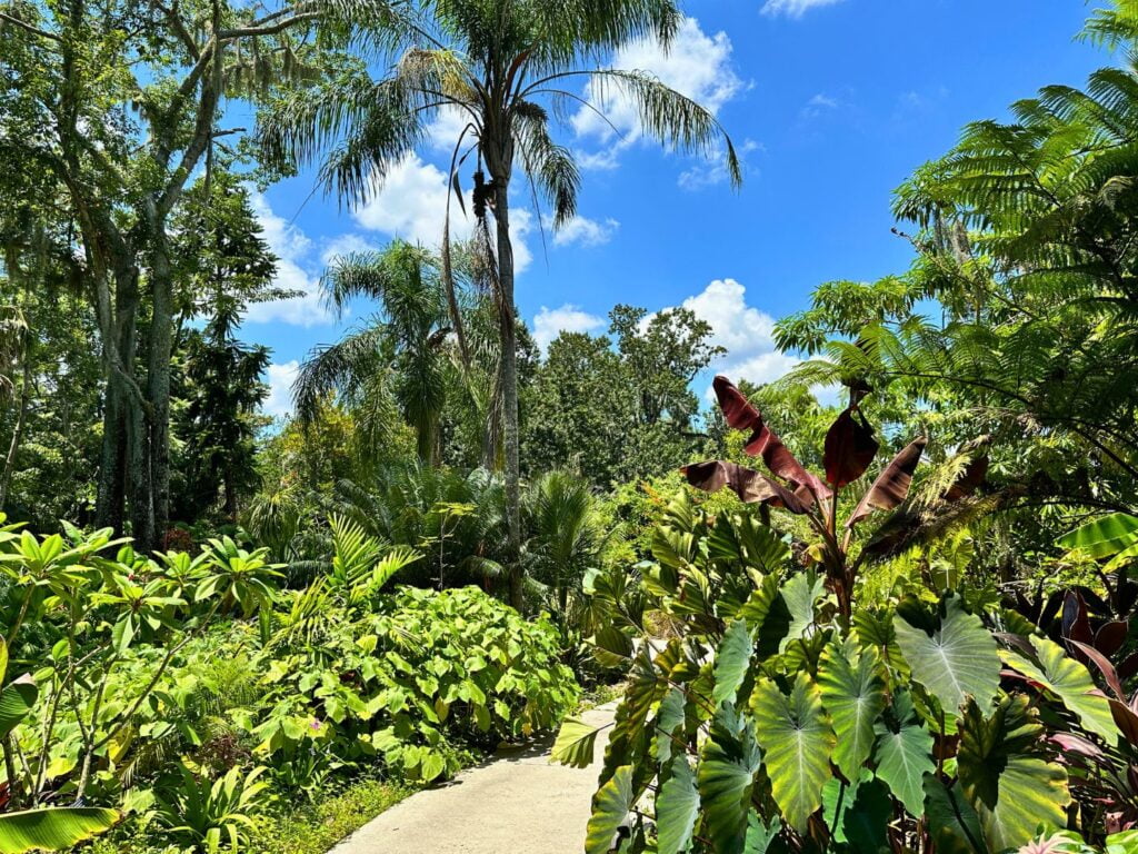 Tropical Stream Gardens at Leu Gardens Orlando 