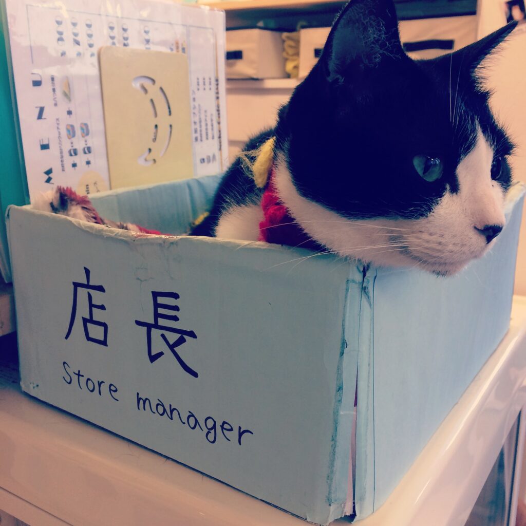 A cat lying in a box. 
