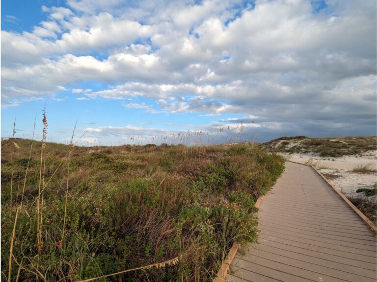 St. Augustine beach walks