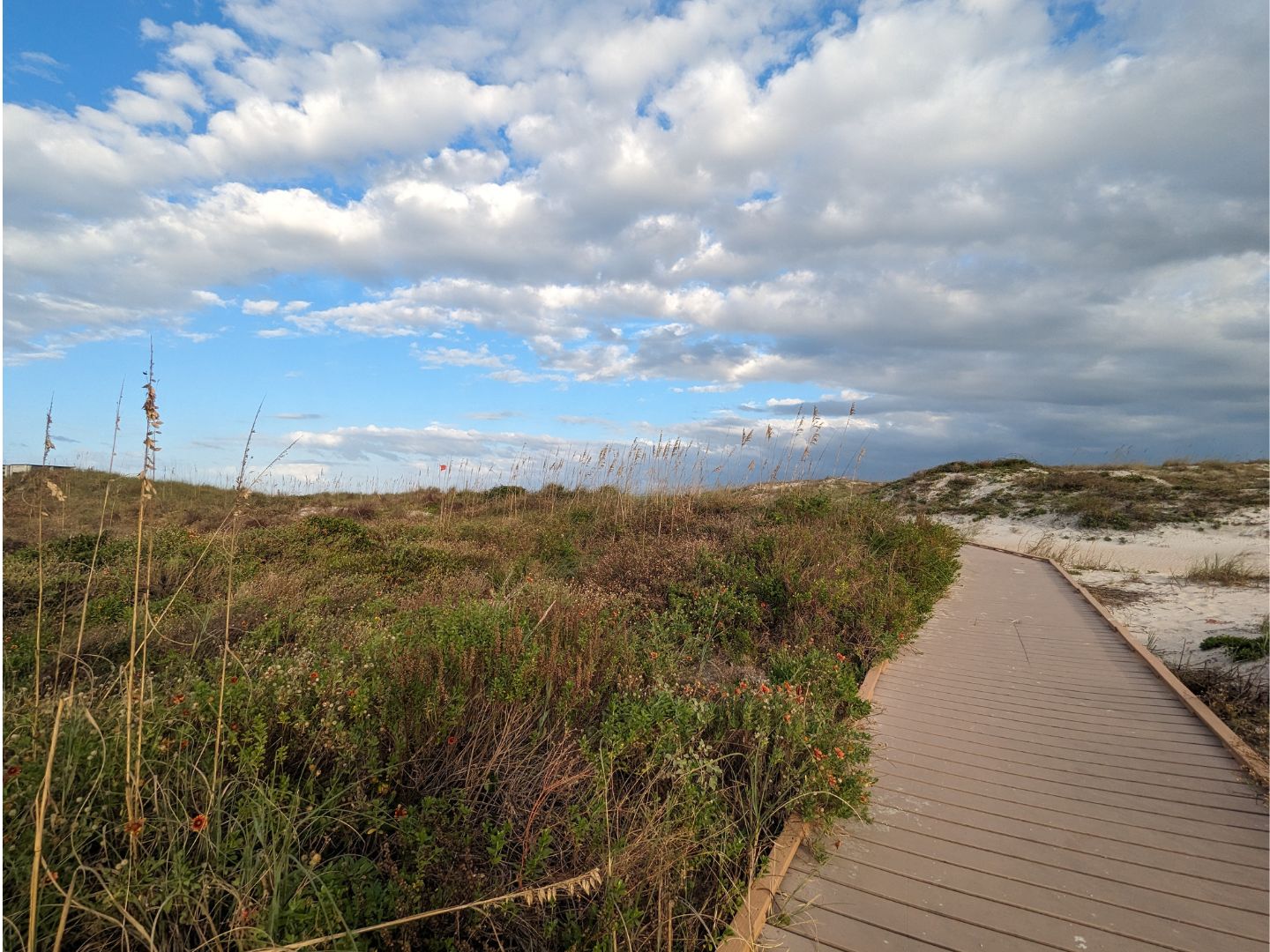 St. Augustine beach walks