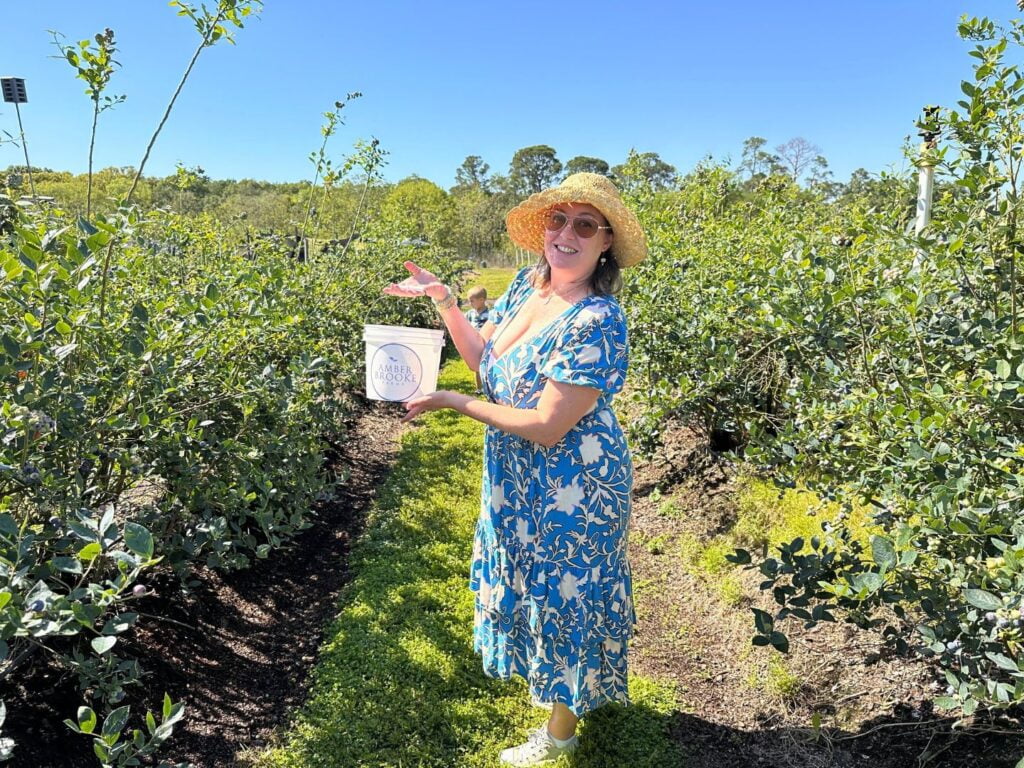 Mother and Son picking Blueberries Amber Brooke Farms in Eustis 