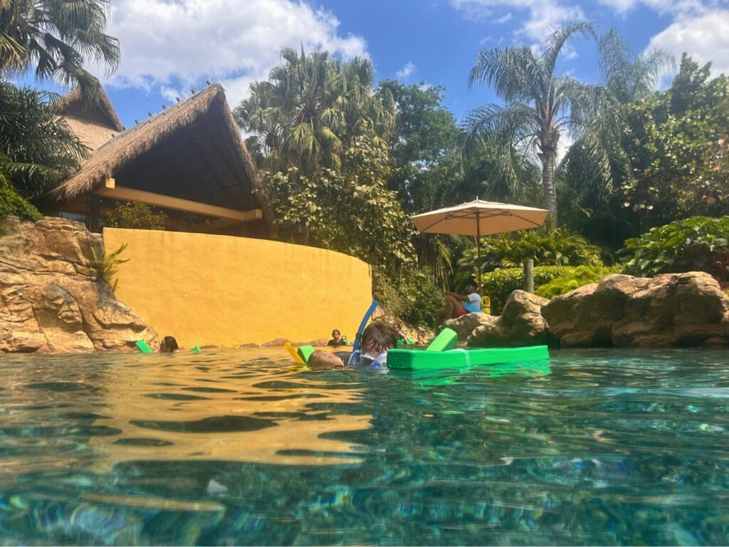 father and son Swimming at Discovery Cove 