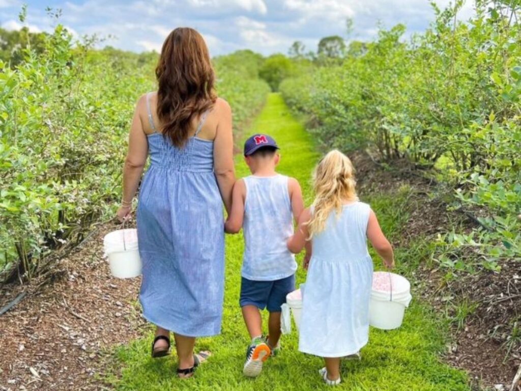 Amber Brooke Farms Blueberry Festival 2024