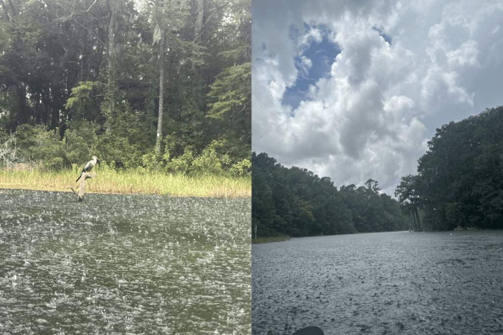Caught in the rain along Rainbow River