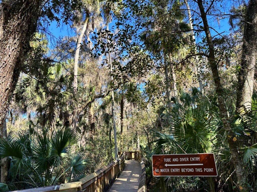 Blue Spring State Park tube entry - image by Dani Meyering