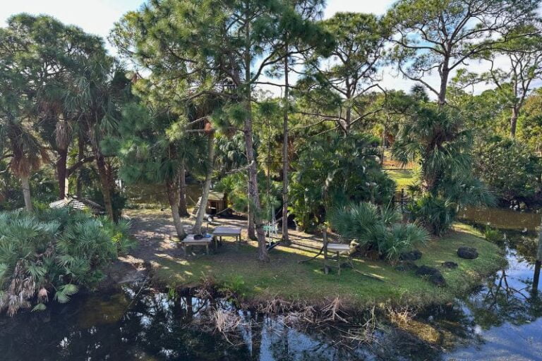 How to Plan a Wild Day Date at Brevard Zoo